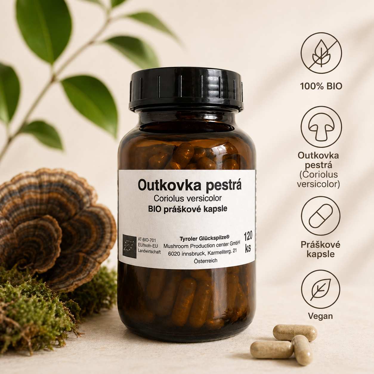 Outkovka pestrá 120 kapslí
