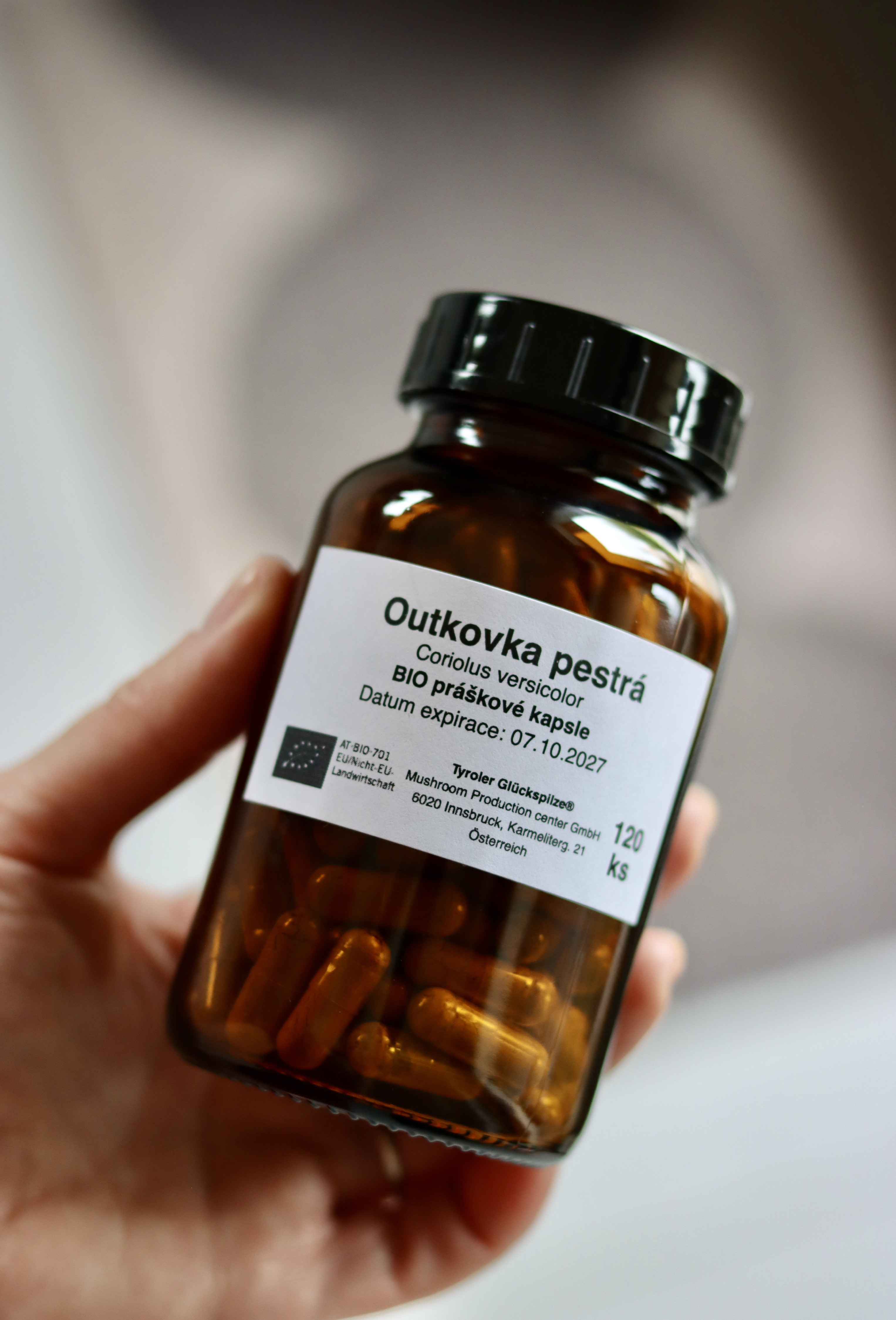 Outkovka pestrá – Coriolus 120 kapslí